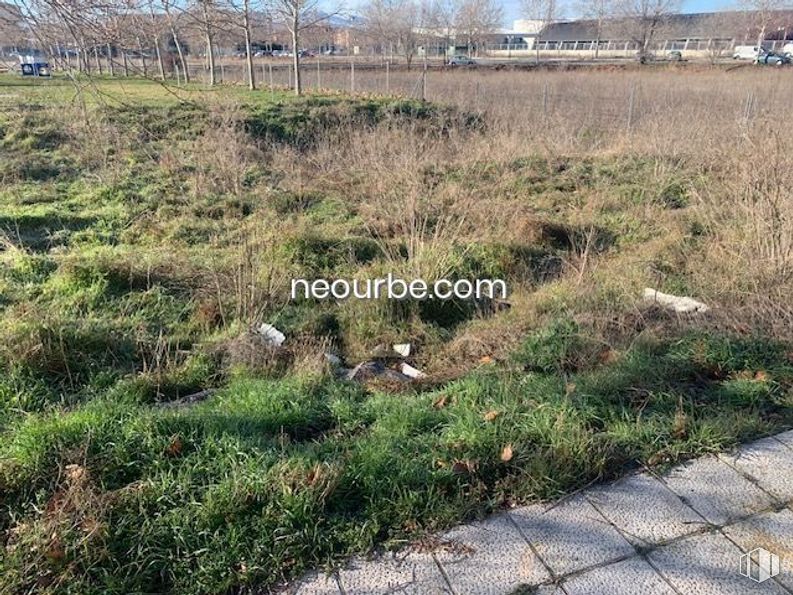 Land for sale at Urbanización Santo Tomé, Ávila, 05003 with plant, plant community, natural landscape, tree, land lot, grass, groundcover, shrub, rural area and grassland around