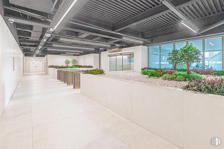 Office for rent at Edificio Oblicua, Calle Francisca Delgado, 11, Alcobendas, Madrid, 28108 with houseplant, plant, building, urban design, floor, flooring, condominium, hall, shade and window around