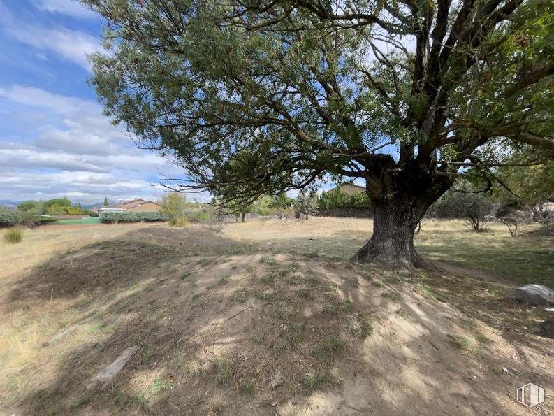 Suelo en venta en Calle Mar Egeo, 9, Galapagar, Madrid, 28260 con hierba, ecorregión, pradera, comunidad vegetal, llano, lote de terreno, suelo, planta leñosa, sabana y matorral alrededor