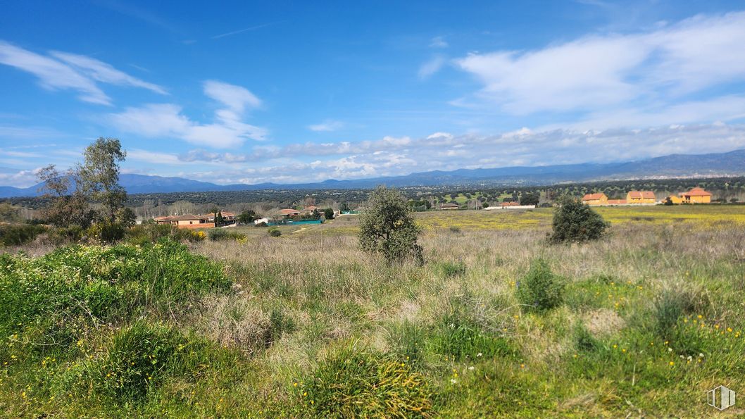 Land for sale at Zona Mirador de Fuente Romero, Hormigos, Toledo, 45919 with sky, cloud, plant, plant community, natural landscape, tree, cumulus, grass, plain and grassland around