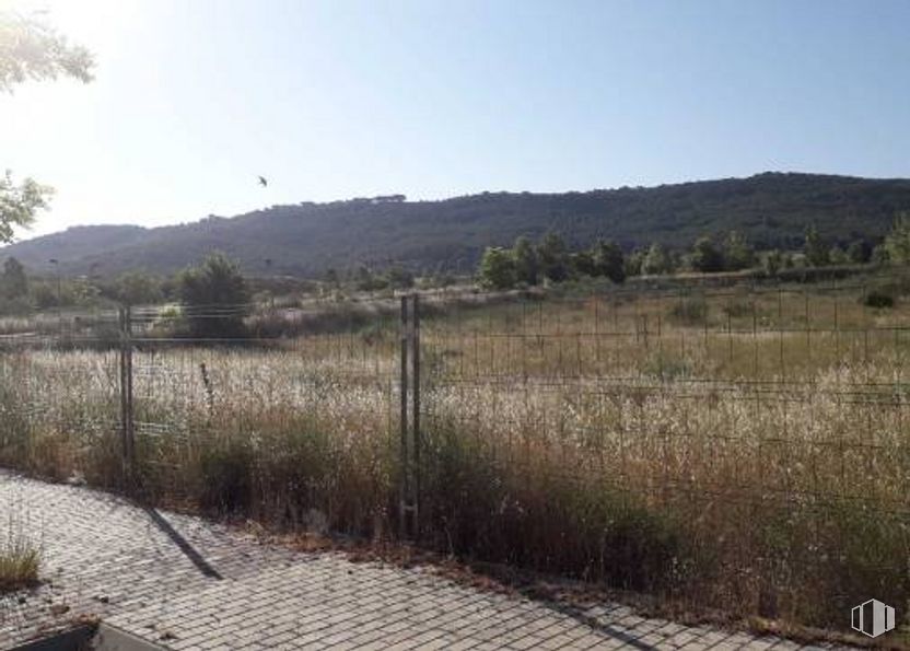 Land for sale at Lugar Manzana, Chiloeches, Guadalajara, 28019 with sky, plant, natural landscape, tree, mountain, grass, grassland, plain, road and landscape around