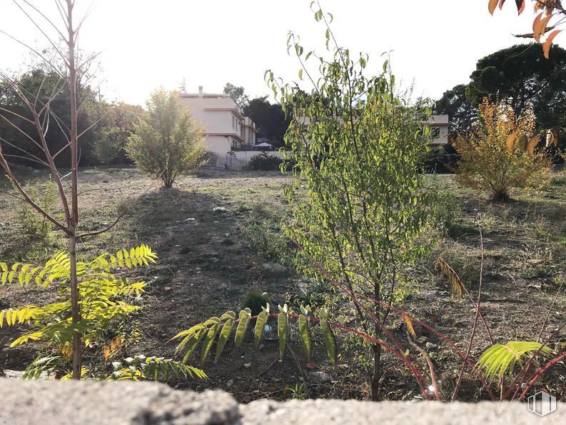 Suelo en venta en Carretera Galapagar, Collado Villalba, Madrid, 28400 con planta, cielo, comunidad de plantas, terreno, paisaje natural, árbol, bioma, perennifolio, hierba y arbusto alrededor