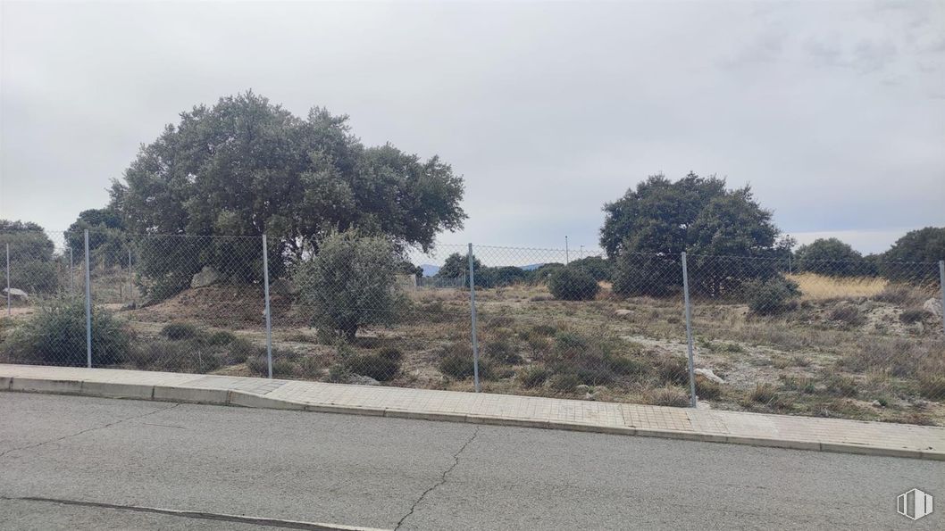 Suelo en venta en Paseo Olmos, Zarzuela del Monte, Segovia, 40152 con nube, cielo, planta, comunidad vegetal, árbol, asfalto, superficie de la carretera, lote de terreno, paisaje natural y vía pública alrededor