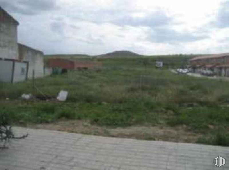 Land for sale at Carretera Alcalá - Torrejón, 23, Torrejón del Rey, Guadalajara, 28850 with animal, house, cloud, sky, building, plant, land lot, asphalt, grass and landscape around