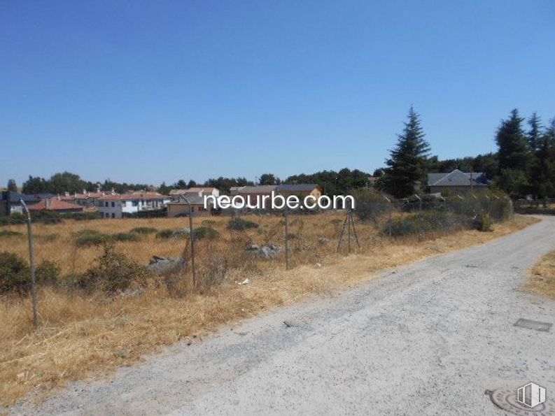 Land for sale at La Cañada, Herradón de Pinares, Ávila, 05294 with animal, plant, sky, plant community, tree, natural landscape, land lot, grass, slope and plain around