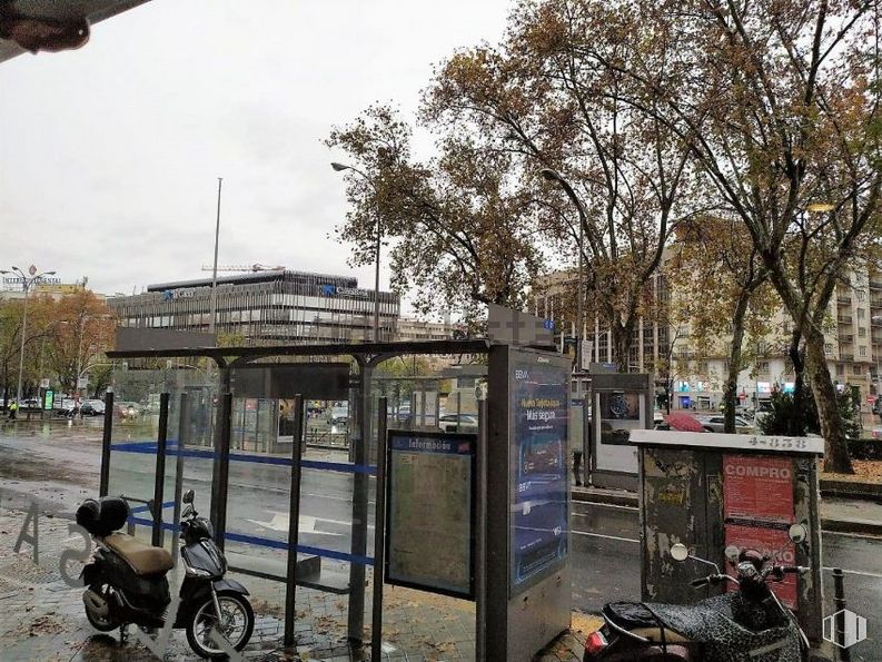 Local en alquiler en Paseo Castellana, 70, Chamartín, Madrid, 28046 con rueda, motocicleta, planta, neumático, cielo, edificio, nube, árbol, vehículo motorizado y vehículo alrededor