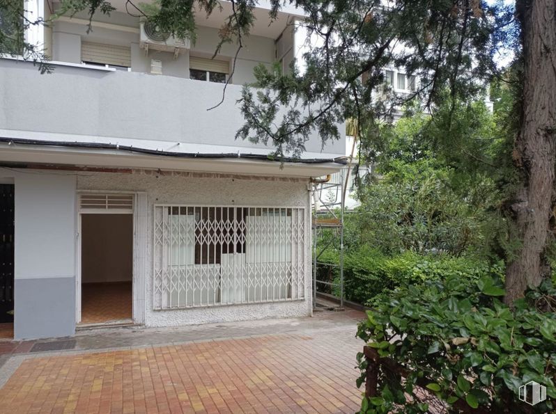 Local en alquiler en Calle Andorra, 11, Fuenlabrada, Madrid, 28943 con planta, sombra, árbol, madera, inmobiliario, fachada, paisaje, tejado, Inicio y puerta alrededor