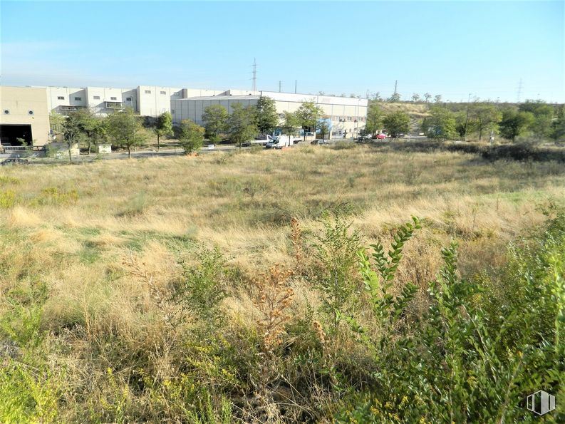 Suelo en venta en Calle Levante, Mejorada del Campo, Madrid, 28840 con edificio, planta, cielo, propiedad, paisaje natural, árbol, lote de tierra, paisaje, llanura y bienes raíces alrededor