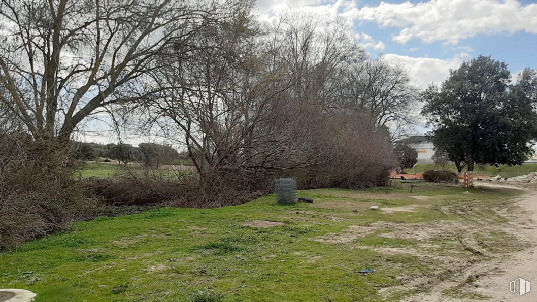 Suelo en venta en Calle Albaricoque, Alpedrete, Madrid, 28430 con nube, planta, cielo, árbol, paisaje natural, maletero, hierba, paisaje, llanura y pastizal alrededor