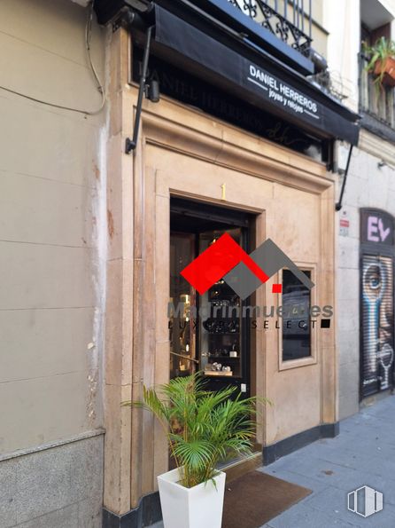 Retail for rent at Plaza Matute, Centro, Madrid, 28014 with houseplant, flowerpot, plant, building, fixture, window, gas, terrestrial plant, facade and wood around