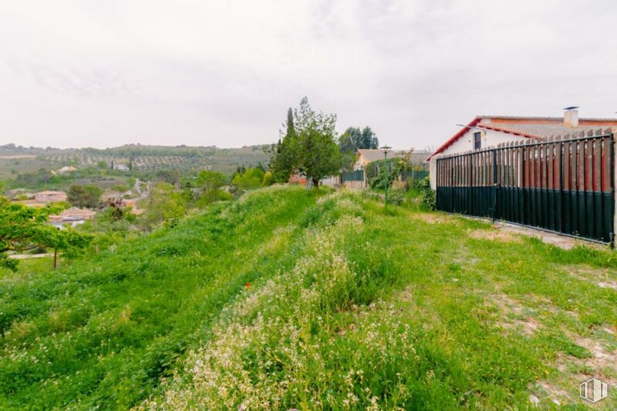 Land for sale at Calle San Roque, Valverde de Alcalá, Madrid, 28812 with plant, cloud, sky, land lot, natural landscape, slope, grass, tree, landscape and grassland around