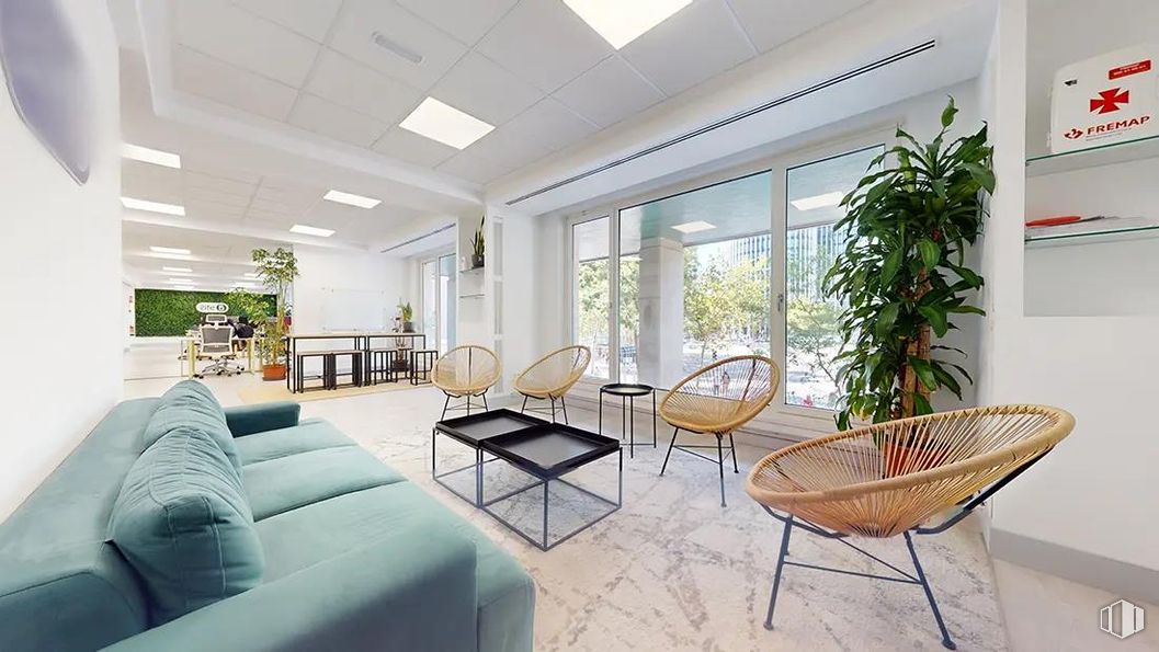 Office for rent at Paseo Castellana, Chamartín, Madrid, 28046 with couch, chair, houseplant, plant, furniture, table, property, building, green and interior design around