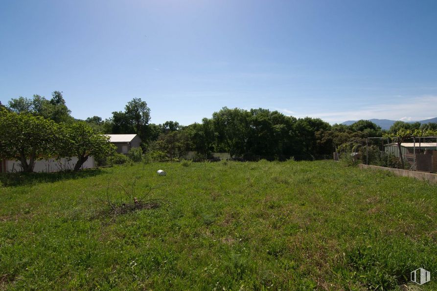 Land for sale at Calle Cotano de la Oliva, Sartajada, Toledo, 45632 with sky, plant, tree, natural landscape, land lot, grass, groundcover, grassland, landscape and shrub around