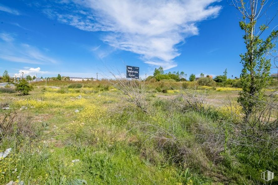 Land for sale at Calle Lisboa, Ávila, 05004 with cloud, sky, plant, natural landscape, tree, land lot, cumulus, grass, grassland and landscape around