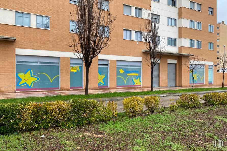 Local en venta en Calle Camino de Santiago, 21, Fuencarral - El Pardo, Madrid, 28050 con edificio, ventana, planta, día, propiedad, diseño urbano, vegetación, planta leñosa, barrio y pintura alrededor