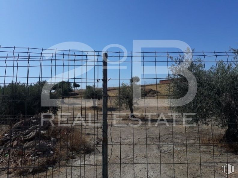 Land for sale at Calle El Molino, Calera y Chozas, Toledo, 45686 with building, animal, sky, plant, vertebrate, mammal, land lot, fence, wire fencing and composite material around