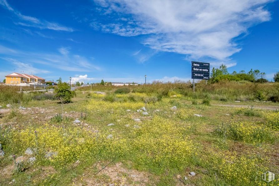 Land for sale at Calle Lisboa, Ávila, 05004 with house, cloud, plant, sky, blue, natural landscape, flower, sunlight, land lot and grass around