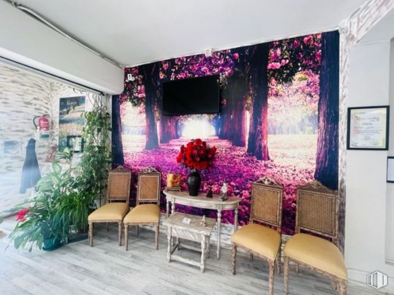 Retail for rent at Calle Real, Torrelodones, Madrid, 28250 with chair, television, table, flower, furniture, plant, purple, decoration, interior design and floor around