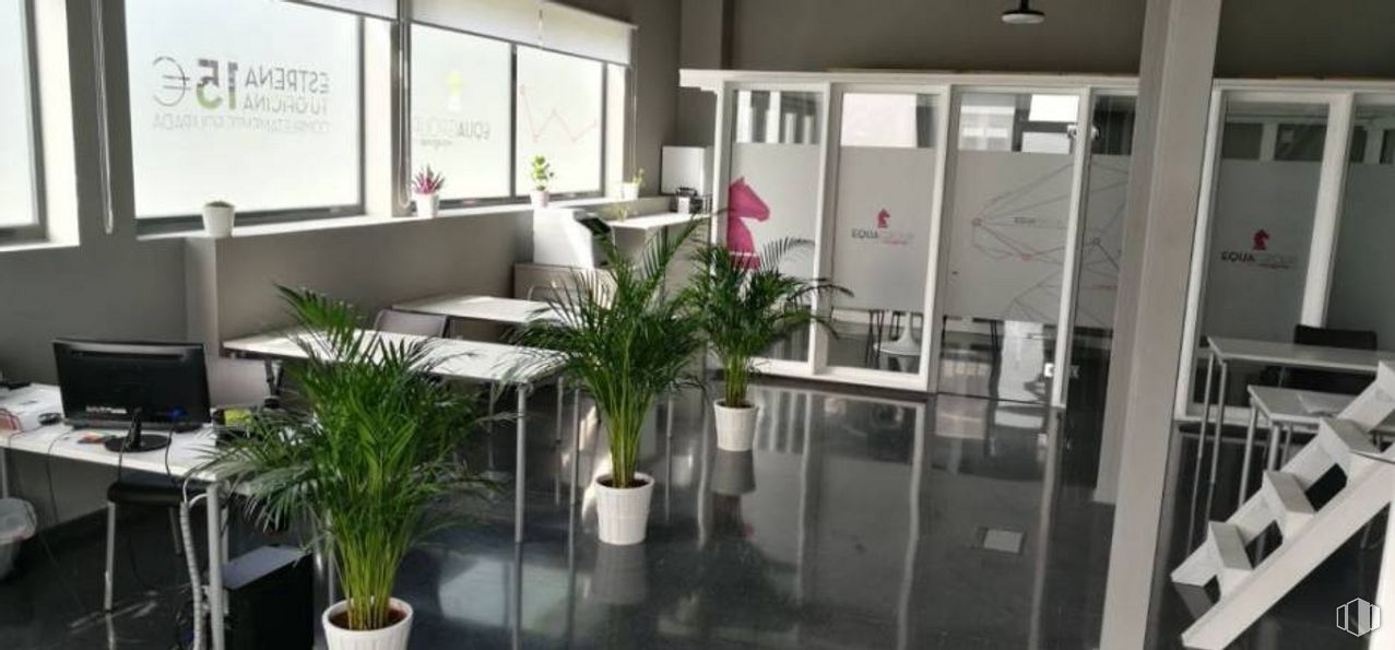 Office for rent at Avenida Castilla La Mancha, 40, Toledo, 45003 with computer monitor, houseplant, home appliance, plant, property, flowerpot, lighting, interior design, building, table, fixture, flooring around