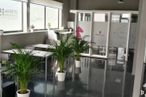 Office for rent at Avenida Castilla La Mancha, 40, Toledo, 45003 with computer monitor, houseplant, home appliance, plant, property, flowerpot, lighting, interior design, building, table, fixture, flooring around