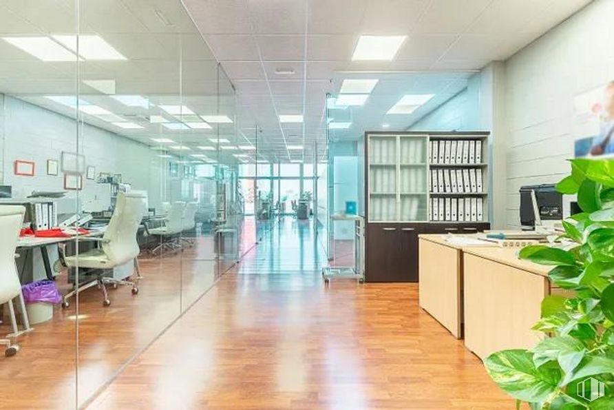 Office for sale at Avenida Américas, Coslada, Madrid, 28820 with houseplant, bookcase, chair, furniture, building, plant, table, cabinetry, interior design and flooring around