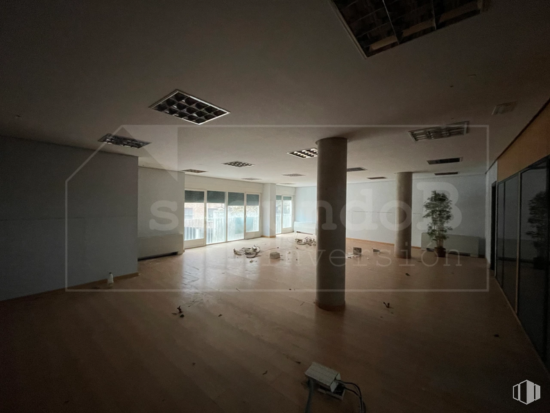 Retail for sale at Calle Escuelas Católicas, 1, Las Rozas de Madrid, Madrid, 28230 with lighting, houseplant, fixture, wood, interior design, flooring, floor, hall, ceiling and tints and shades around