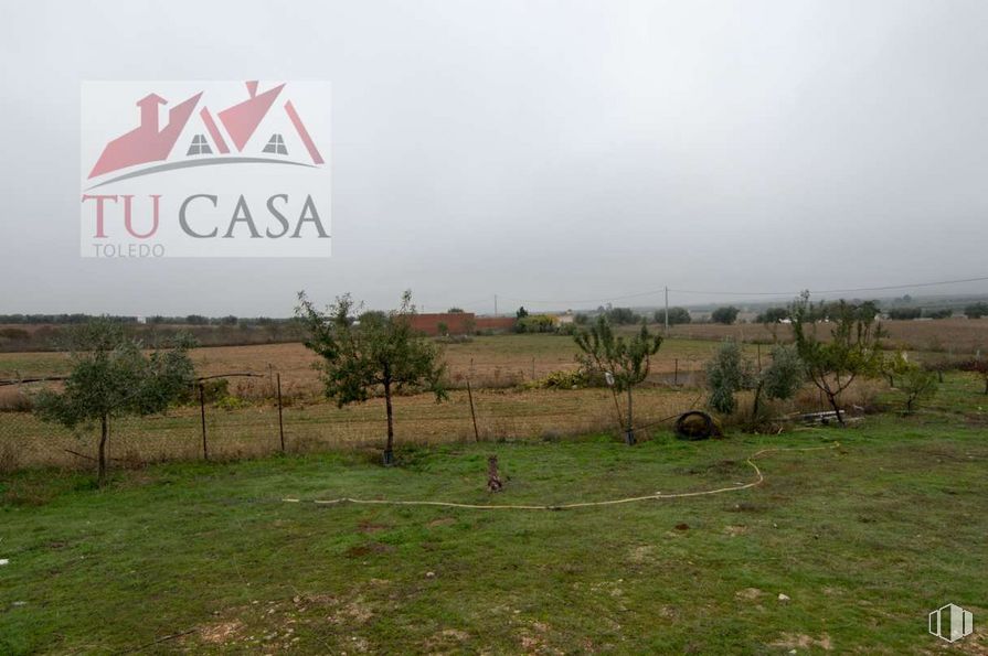 Land for sale at Camino Polán, S/N, Polán, Toledo, 45161 with sky, plant, property, plant community, ecoregion, natural landscape, natural environment, land lot, cloud and tree around