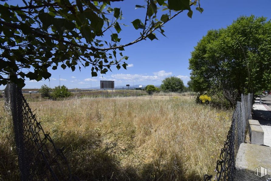 Suelo en venta en Zona Európolis, Las Rozas de Madrid, Madrid, 28230 con planta, cielo, nube, hoja, paisaje natural, árbol, lote de terreno, hierba, paisaje y pradera alrededor