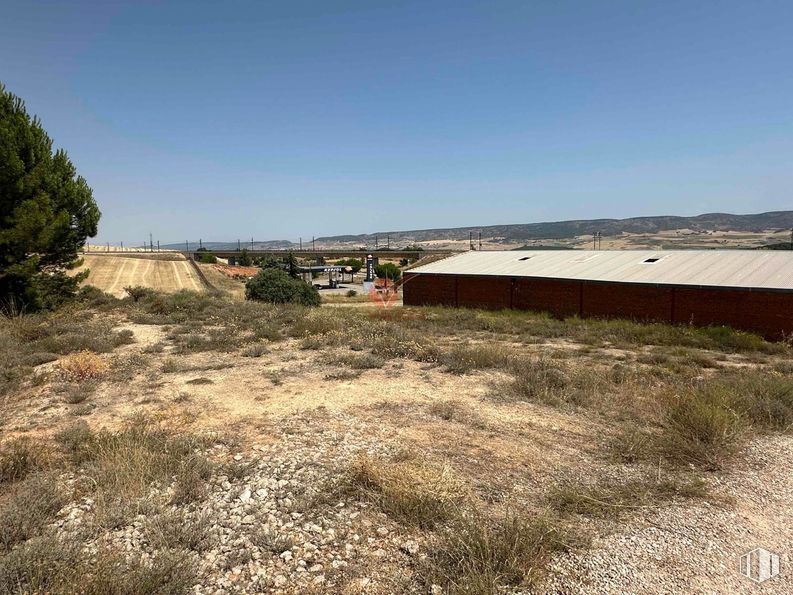 Industrial for sale at Camino Prado Tejar, Arcas del Villar, Cuenca, 16193 with ecoregion, plant community, land lot, plain, soil, shrubland, chaparral, steppe and dirt road around