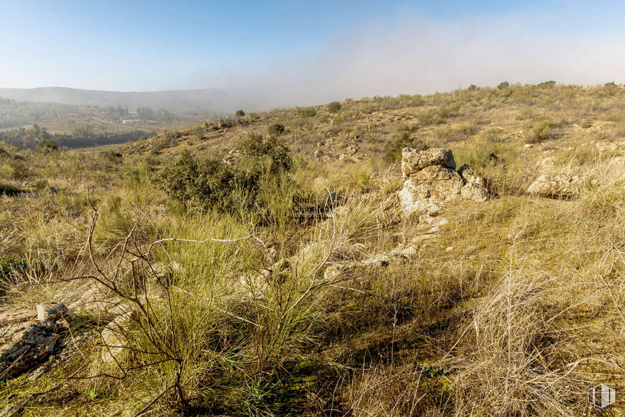 Land for sale at Urbanización La Pozuela, Toledo, 45004 with animal, sky, plant, plant community, ecoregion, natural landscape, cloud, grass, grassland and landscape around