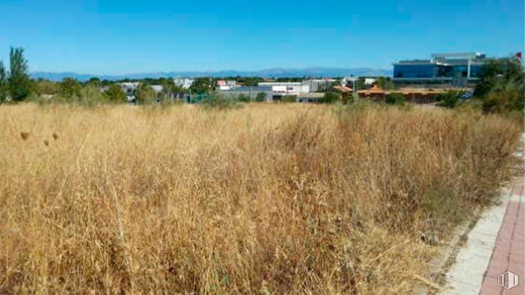 Suelo en alquiler y venta en Calle Patones, Alcorcón, Madrid, 28925 con cielo, planta, comunidad vegetal, paisaje natural, lote de terreno, vegetación, hierba, llano, pradera y paisaje alrededor