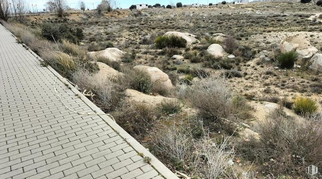 Land for sale at Zona hospital, Ávila, 05004 with plant, bedrock, grass, natural landscape, groundcover, tree, landscape, grass family, sky and shrub around