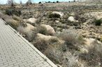 Land for sale at Zona hospital, Ávila, 05004 with plant, bedrock, grass, natural landscape, groundcover, tree, landscape, grass family, sky and shrub around