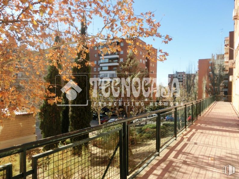 Retail for rent at Zona Soto, Móstoles, Madrid, 28047 with building, plant, sky, window, fence, sunlight, urban design, wood, neighbourhood and residential area around