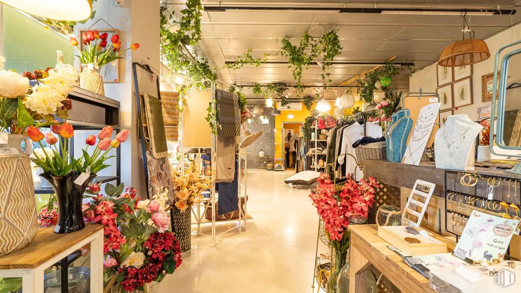 Retail for rent at Avenida de Nazaret, 10, Retiro, Madrid, 28009 with light fixture, person, interior design, flowerpot, retail, houseplant, boutique, cut flowers, floristry and floral design around