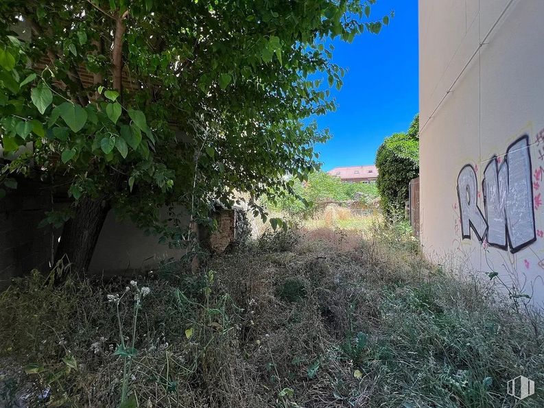 Suelo en venta en Centro, Galapagar, Madrid, 28260 con planta, comunidad de plantas, cielo, terreno, árbol, paisaje natural, paisaje, hierba, tintes y sombras y cobertura del suelo alrededor