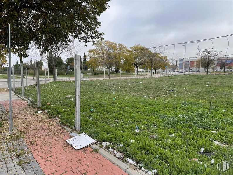 Suelo en venta en Calle Berzosa de Lozoya, 9, Villaverde, Madrid, 28021 con planta, cielo, nube, árbol, lote de terreno, paisaje natural, hierba, arbusto, planta leñosa y flor alrededor