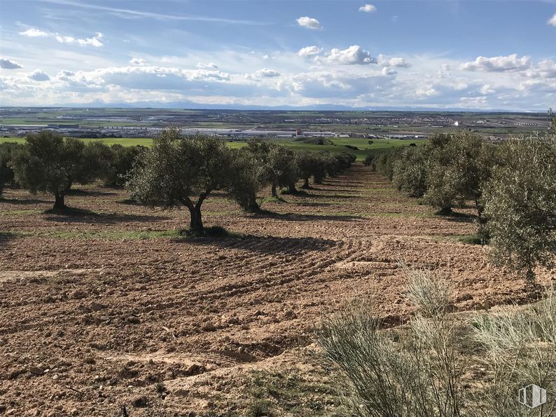 Land for sale at Finca Valdeapa, Chiloeches, Guadalajara, 19160 with cloud, sky, plant, ecoregion, natural landscape, natural environment, agriculture, tree, plain and landscape around