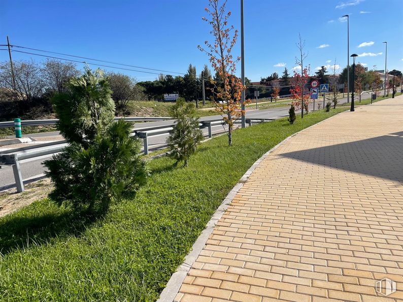 Land for sale at Calle Mártires, El Álamo, Madrid, 28607 with plant, sky, daytime, road surface, asphalt, land lot, tree, architecture, urban design and grass around