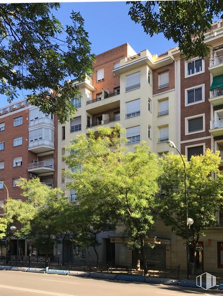 Local en alquiler en Calle Diego de León, 39, Salamanca, Madrid, 28006 con edificio, árbol, ventana, zona residencial, ciudad, apartamento, barrio, condominio, diseño urbano y uso mixto alrededor