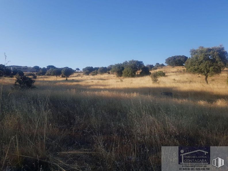 Land for sale at Zona Recuenco, Colmenar Viejo, Madrid, 28770 with sky, plant, natural landscape, tree, grass, mountainous landforms, grassland, horizon, landscape and road around