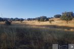 Land for sale at Zona Recuenco, Colmenar Viejo, Madrid, 28770 with sky, plant, natural landscape, tree, grass, mountainous landforms, grassland, horizon, landscape and road around