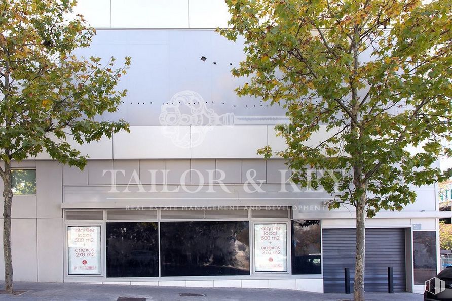 Retail for rent at Zona Arroyo Fresno, Fuencarral - El Pardo, Madrid, 28035 with tree, building, plant, commercial building, shade, facade, real estate, font, door and fixture around