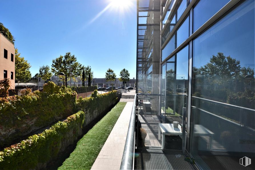 Oficina en venta en Rozas Nova , Calle Castillo de Fuensaldaña, 4, Las Rozas de Madrid, Madrid, 28230 con edificio, cielo, planta, árbol, diseño urbano, sombra, condominio, bloque de pisos, bienes raíces y fachada alrededor