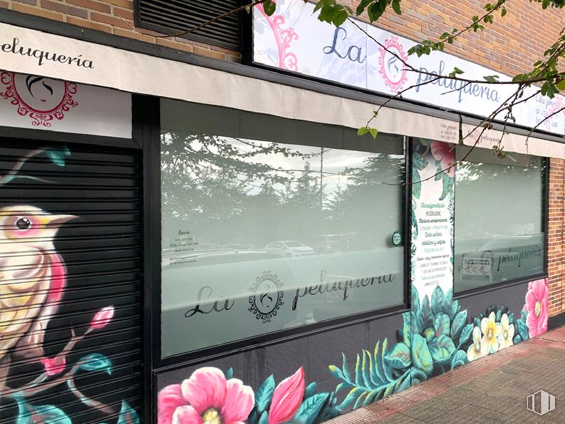 Retail for sale at Calle Océano Atlántico, 3, Coslada, Madrid, 28820 with flower, plant, bird, pink, window, wall, font, building, facade and petal around