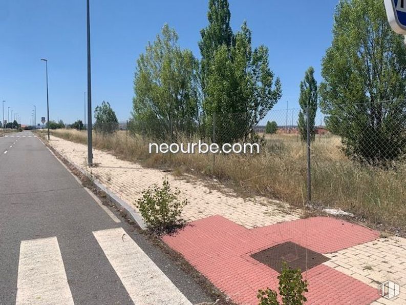 Land for sale at Calle Bartolomé de las Casas, Ávila, 05002 with plant, sky, road surface, land lot, asphalt, urban design, grass, tree, sidewalk and landscape around