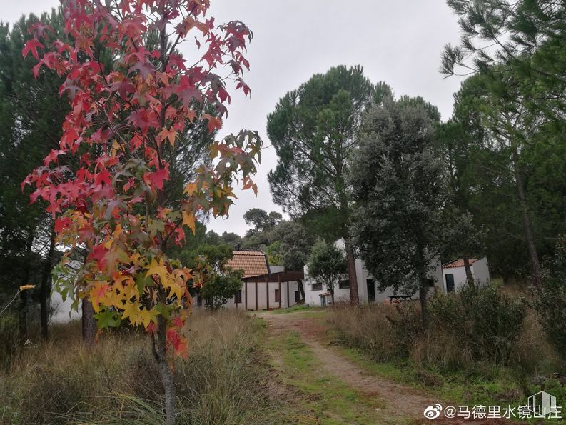 Land for sale at Zona El Rincón, s/n, Aldea del Fresno, Madrid, 28620 with house, plant, sky, building, window, flower, natural landscape, tree, grass and landscape around