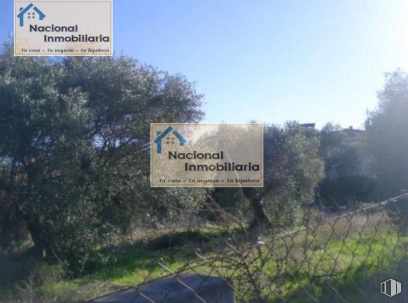 Suelo en venta en  Calle Matalasganas, Sotillo de la Adrada, Ávila, 05420 con planta, cielo, comunidad vegetal, paisaje natural, árbol, vegetación, lote de terreno, fuente, hierba y nube alrededor