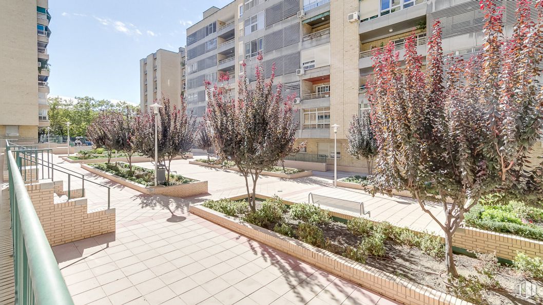 Oficina en venta en Zona Hortaleza, Hortaleza, Madrid, 28033 con edificio, planta, tiempo de día, propiedad, ventana, cielo, encendiendo, árbol, diseño urbano y superficie de la carretera alrededor