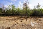 Suelo en venta en Polígono 9, Parcela 19, Campillo de Ranas, Guadalajara, 19223 con nube, planta, cielo, comunidad vegetal, paisaje natural, planta terrestre, paisaje, hierba, pradera y arbusto alrededor